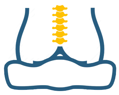 Coccyx Cushion